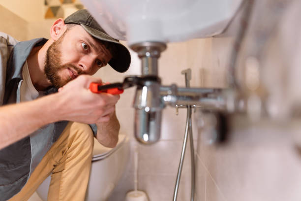 Best Sewer Line Replacement  in Beech Island, SC