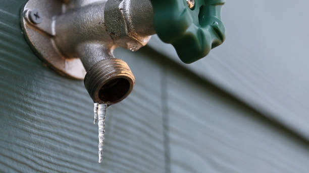 Best Residential Plumbing Services  in Beech Island, SC